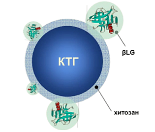 Original illustration from the publication.