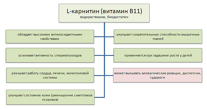 Оригинальная иллюстрация из публикации.